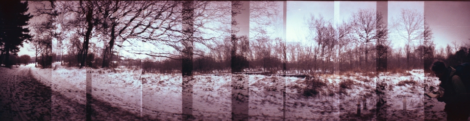 Sample picture with  Lomography Tungsten 64 film