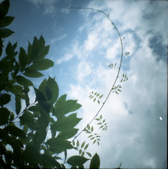 Sample picture with Kodak Portra 160 film