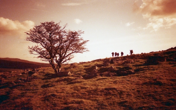Sample picture with Lomography Redscale XR 50-200