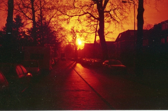 Sample picture with redscale film